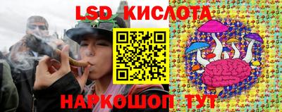дмт Можга