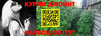 гашик Моздок