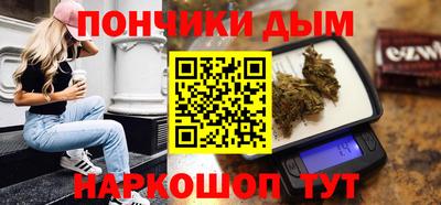 гашик Моздок