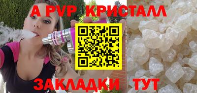 гашик Моздок