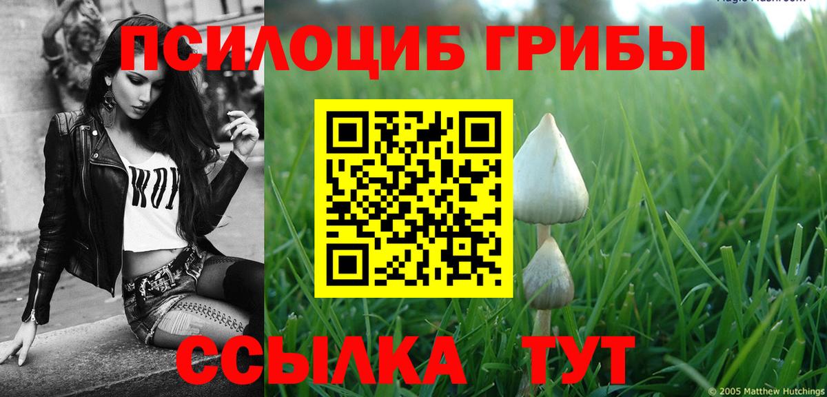 Галлюциногенные грибы прущие грибы Учалы
